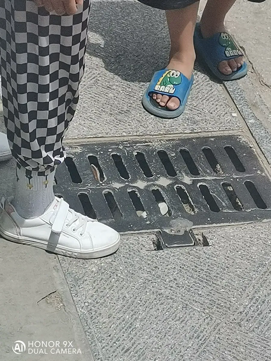 猫猫，但是藏在排水沟里了