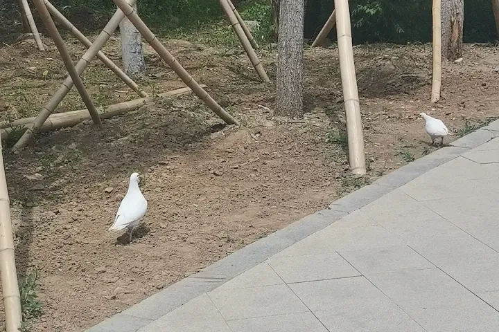 cover of 202307 旅行随记